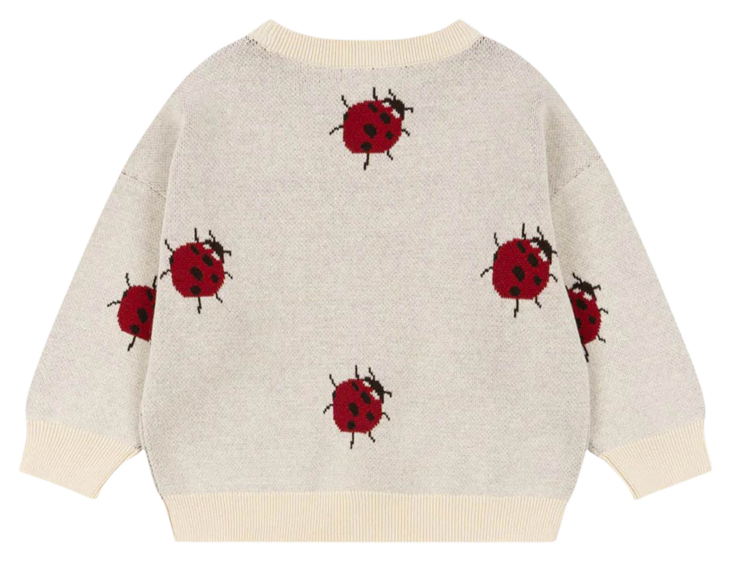 LAPIS - Pull col rond en coton organique | Multicolore