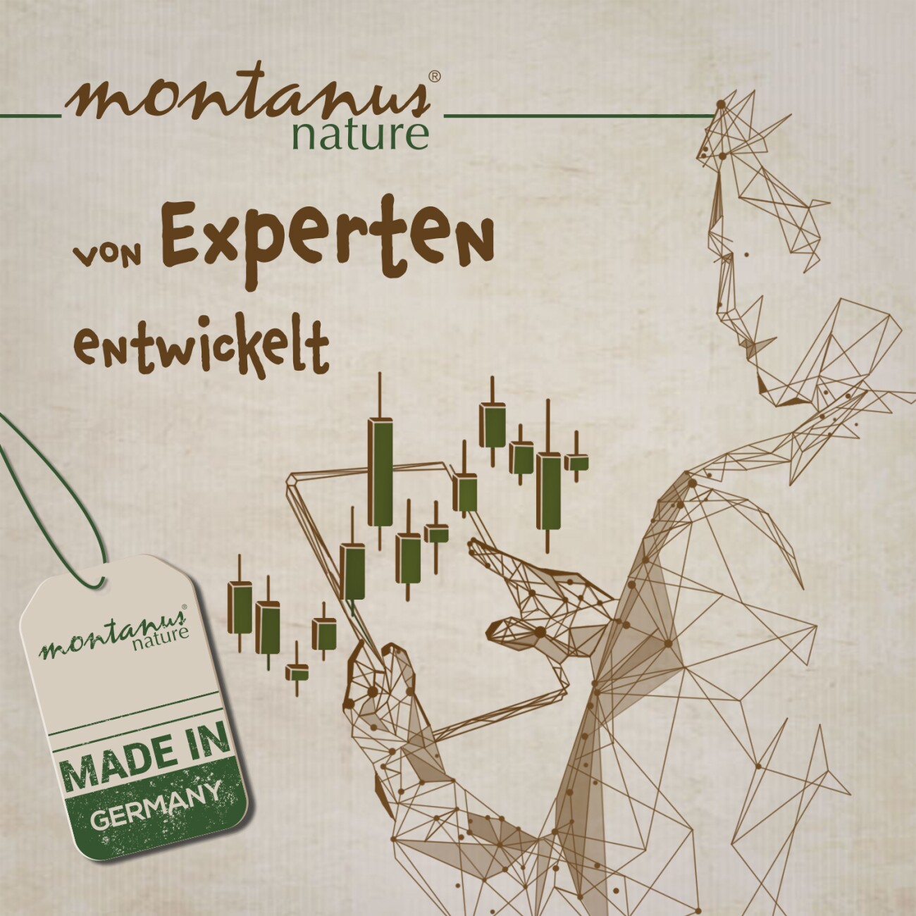 Montanus ® nature Biotin-Konzentrat 1 kg