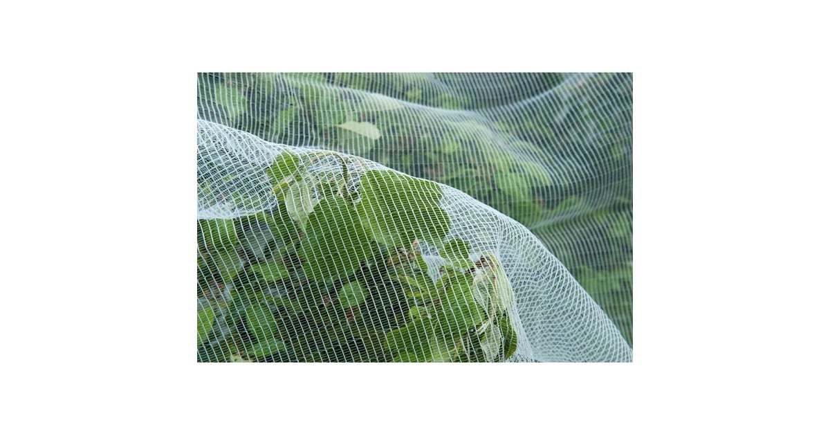 NatureInsectengaas, fijnmazig insectenhor  (Wit/transparant, 5,2 x 5 m)