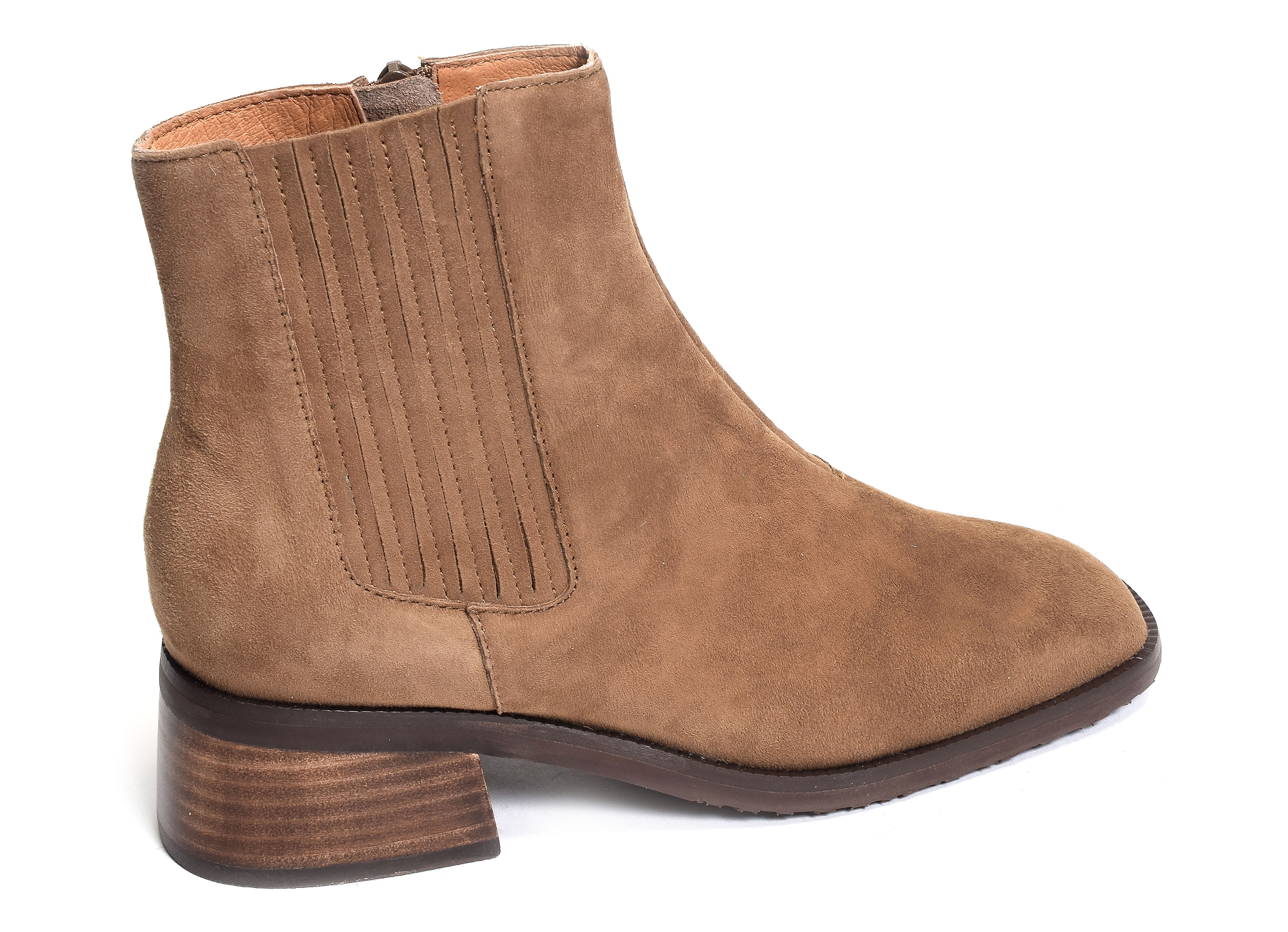 Dirla taupe