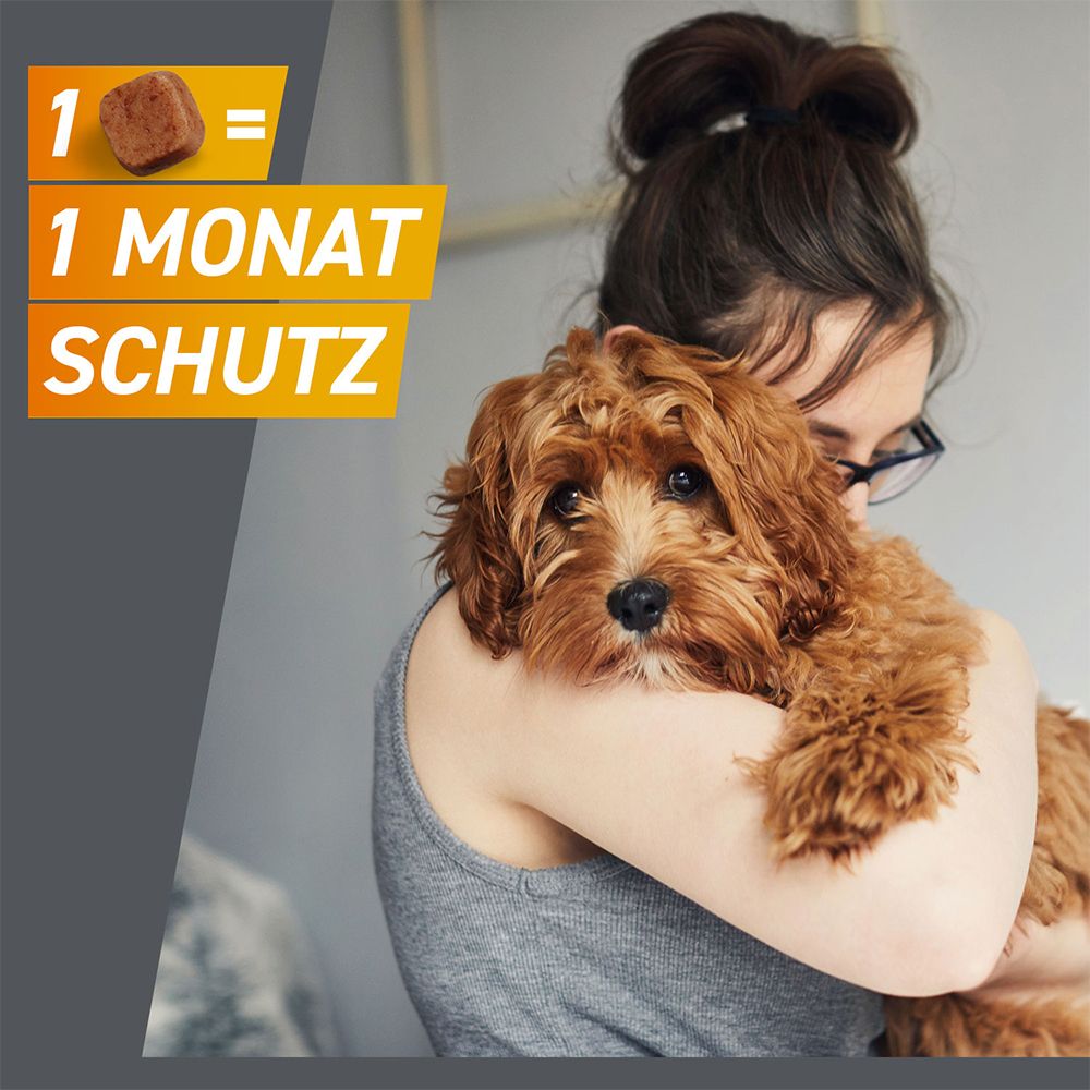 FRONTPRO® Kautablette gegen Zecken und Flöhe für Hunde (>4-10kg)