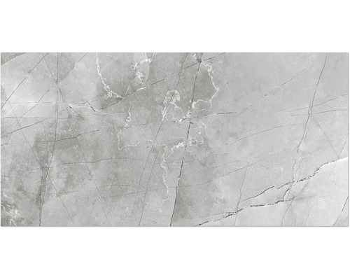 Porseleinen steengoed wand- en vloertegel Centura grigio 60 x 120 x 0,9 cm glanzend gerectificeerd