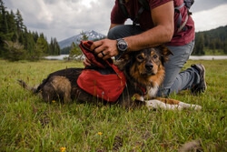 Ruffwear Quencher Hundenapf für unterwegs fired brick M
