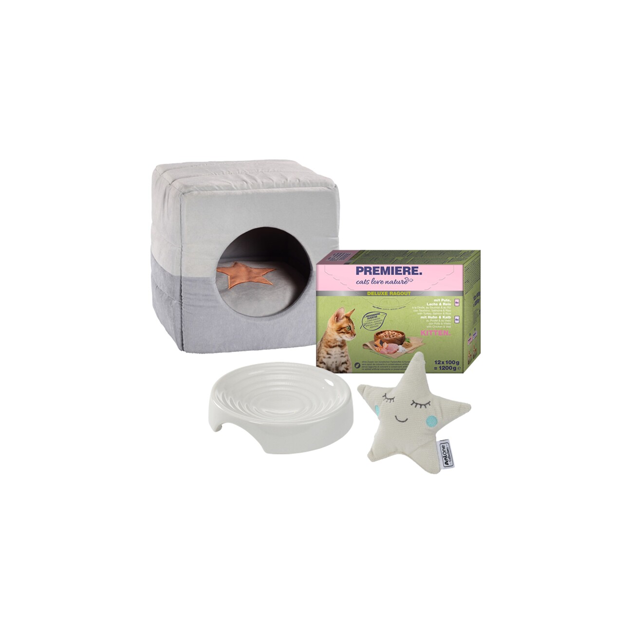 AniOne New Kitten Starter Set