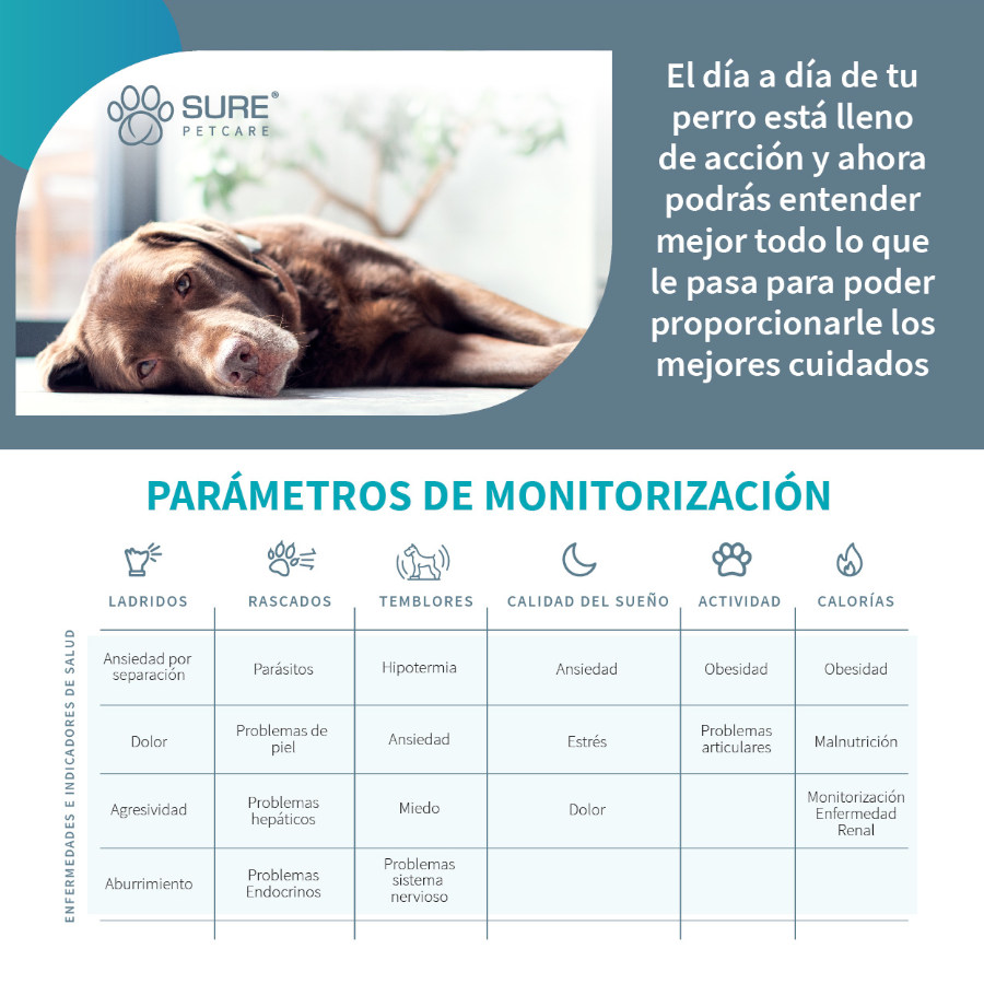 Monitor de comportamento Sure Petcare Animo para cães