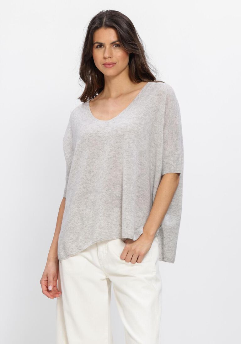 grijze absolut cashmere truien/vesten kate
