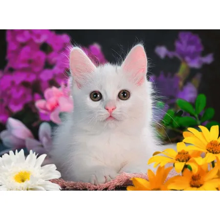Ravensburger XXL Puzzle - Glitzerkatze, 100 Teile