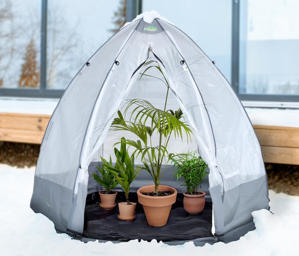 Bio Green Überwinterungszelt Tropical Island,