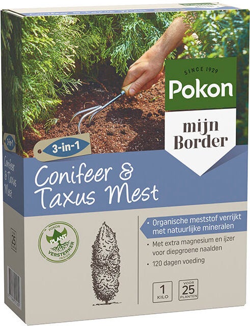 Pokon conifeer en taxus mest 1 kg