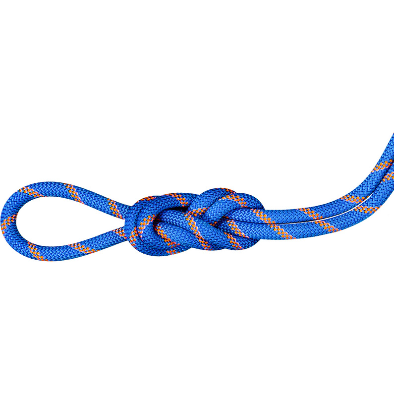 Mammut 9.0 Alpine Sender Dry Kletterseil