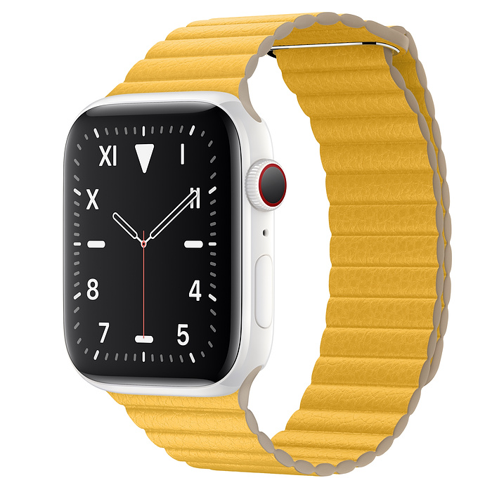 Apple Watch Series 5 Watch Edition (2019)