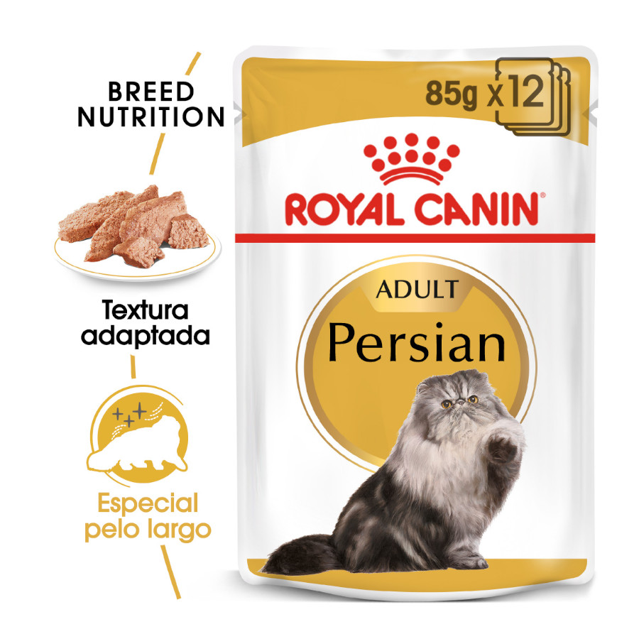 Royal Canin Feline Persian Adulto