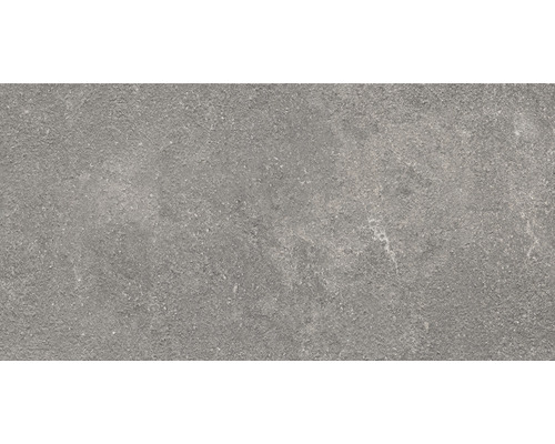 FLAIRSTONE porseleinen terrastegel Luna Silver gerectificeerde rand 100 x 50 x 2 cm