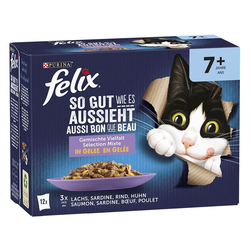 Felix Aussi bon que beau Senior sélection mixte