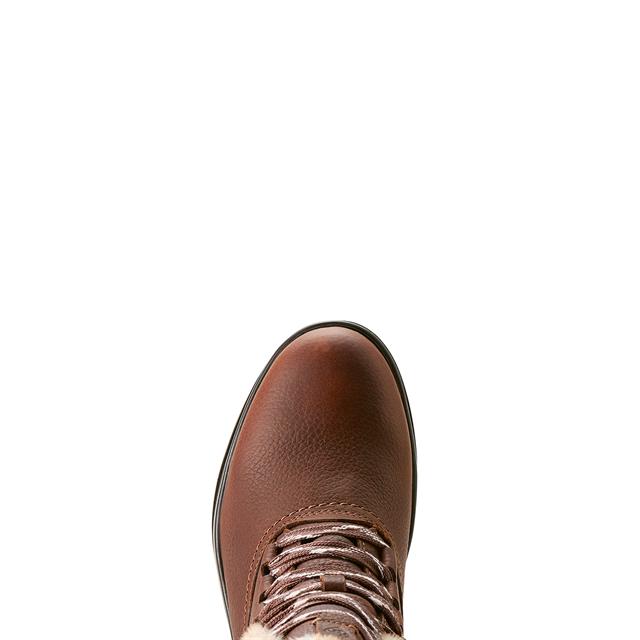 Stalschoenen Ariat Harper Sherpa Waterproof Donkerbruin