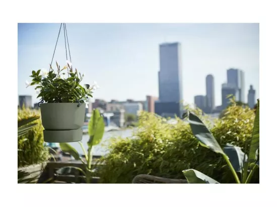 ELHO Pot de fleurs a suspendre Greenville 24 - Exterieur - O 23,9 x H 20,3 cm - Vert feuille