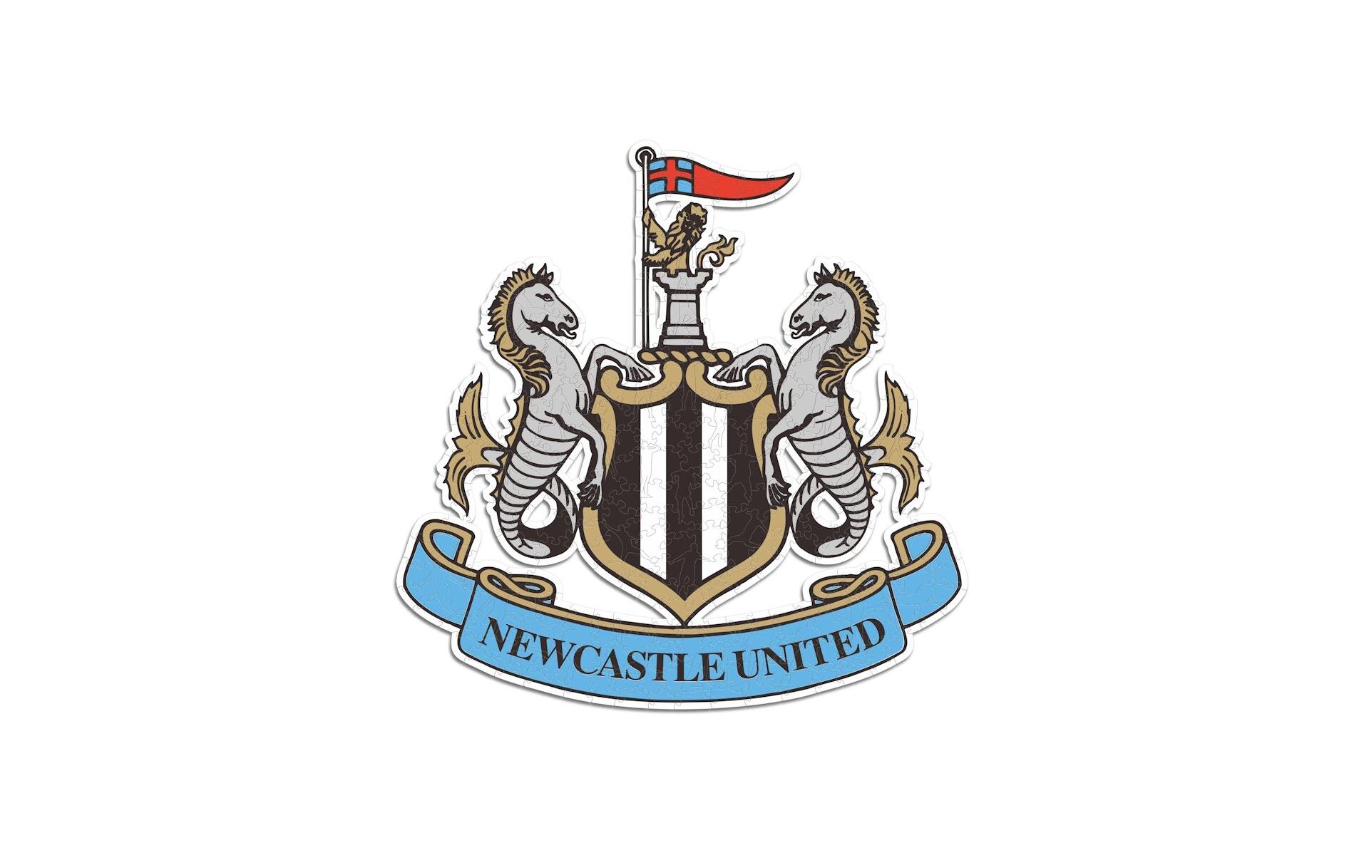 Newcastle United FC – LogoOffiziell lizenziertes Holzpuzzle, Grösse M