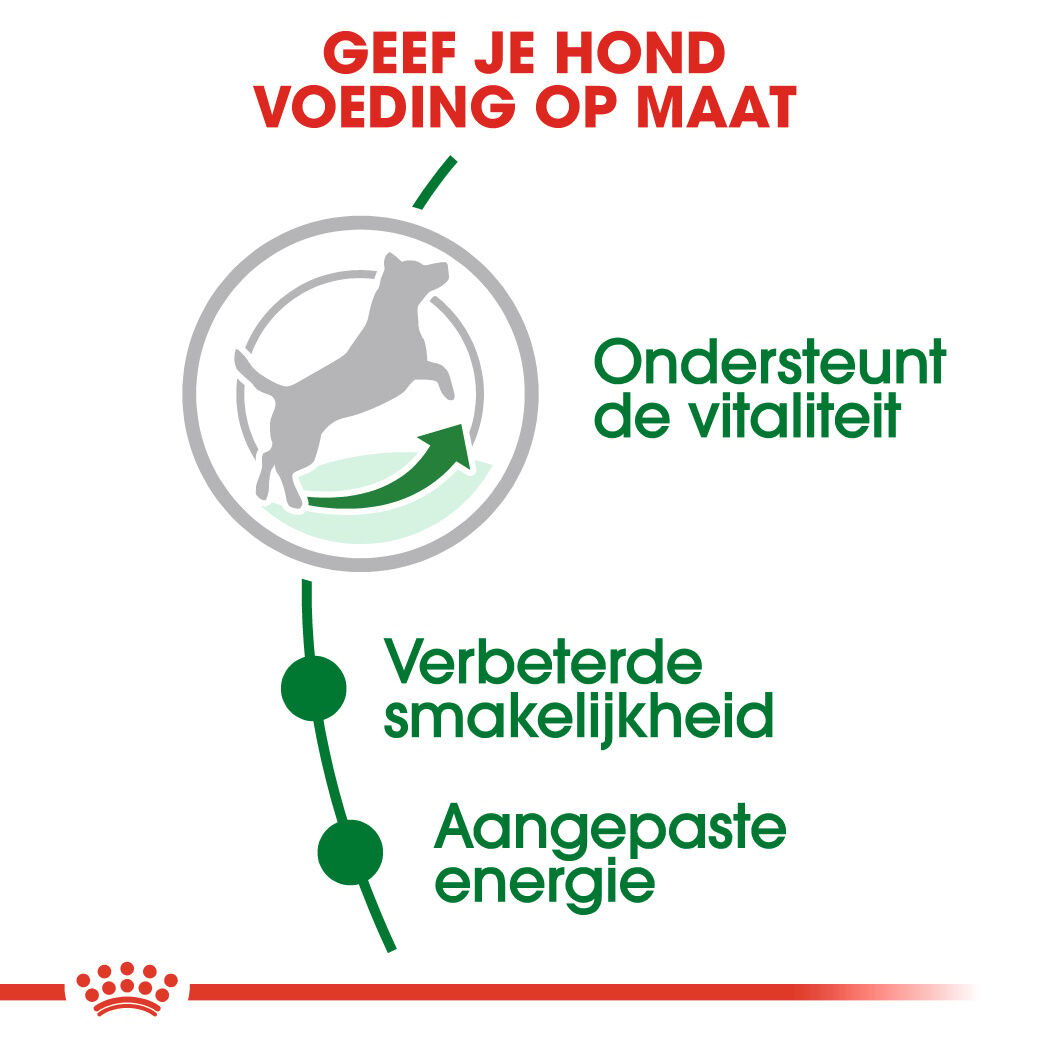 Royal Canin Mini Adult 8  - Hondenvoer - 12 Kilogram - gevogelte