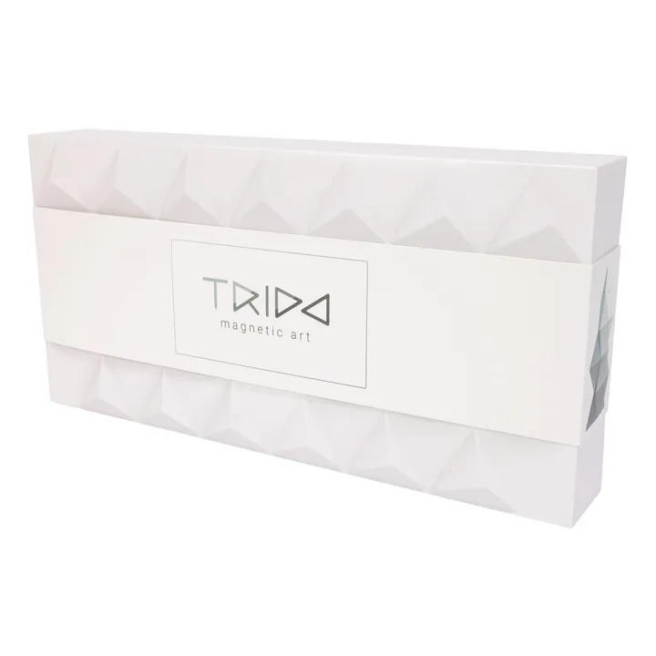 Trido Jeu de construction magnétique Greyscale - Set de 24 pièces