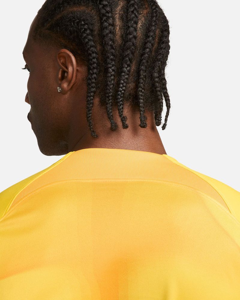 Maillot de gardien Nike Gardien IV pour homme