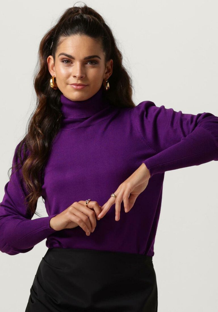 NOTRE-V paarse notre-v coltrui basic knit blouse