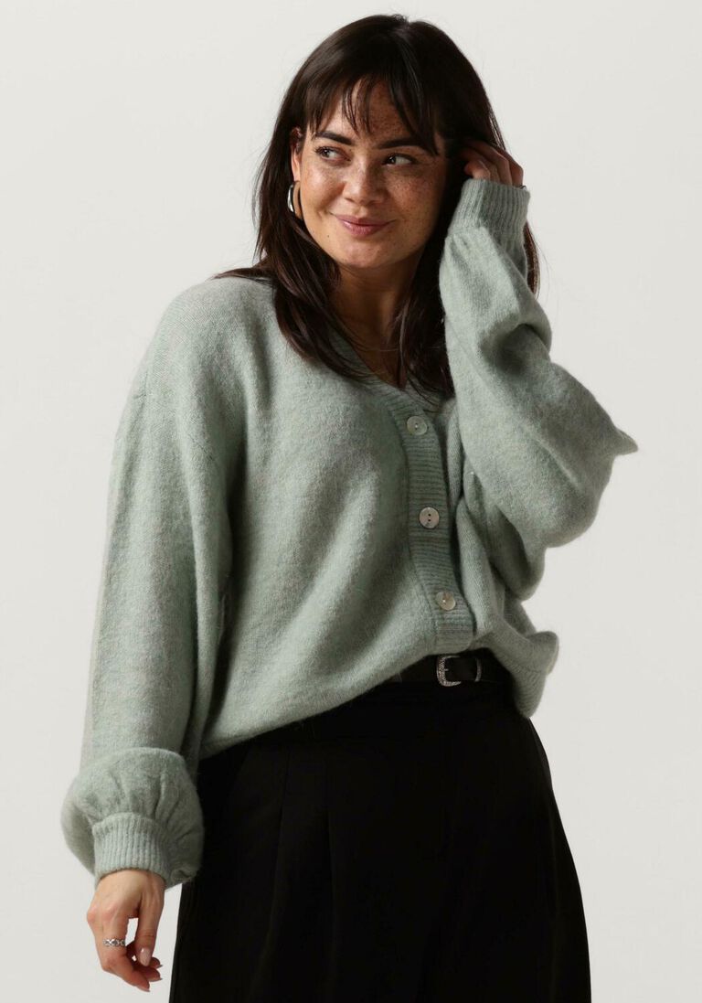 MSCH COPENHAGEN groene msch copenhagen trui mschpetrinelle hope cardigan