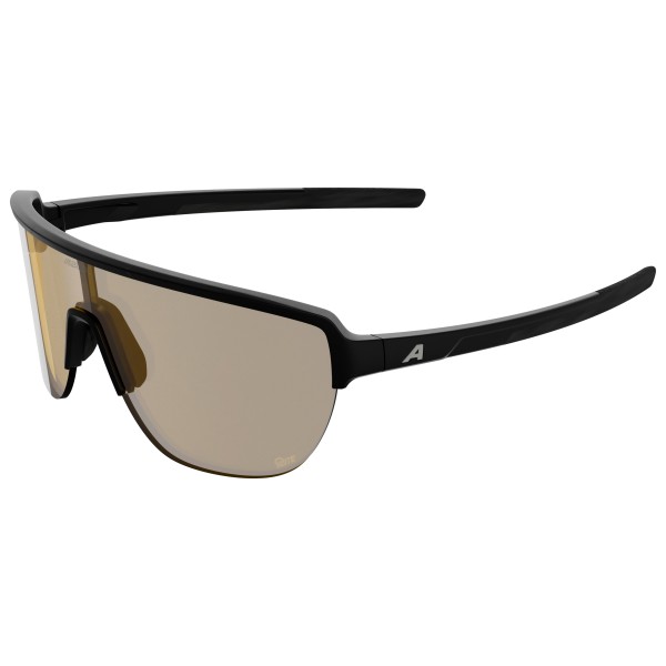 Alpina - Ram 2.0 Q-Lite S1 - Lunettes de soleil