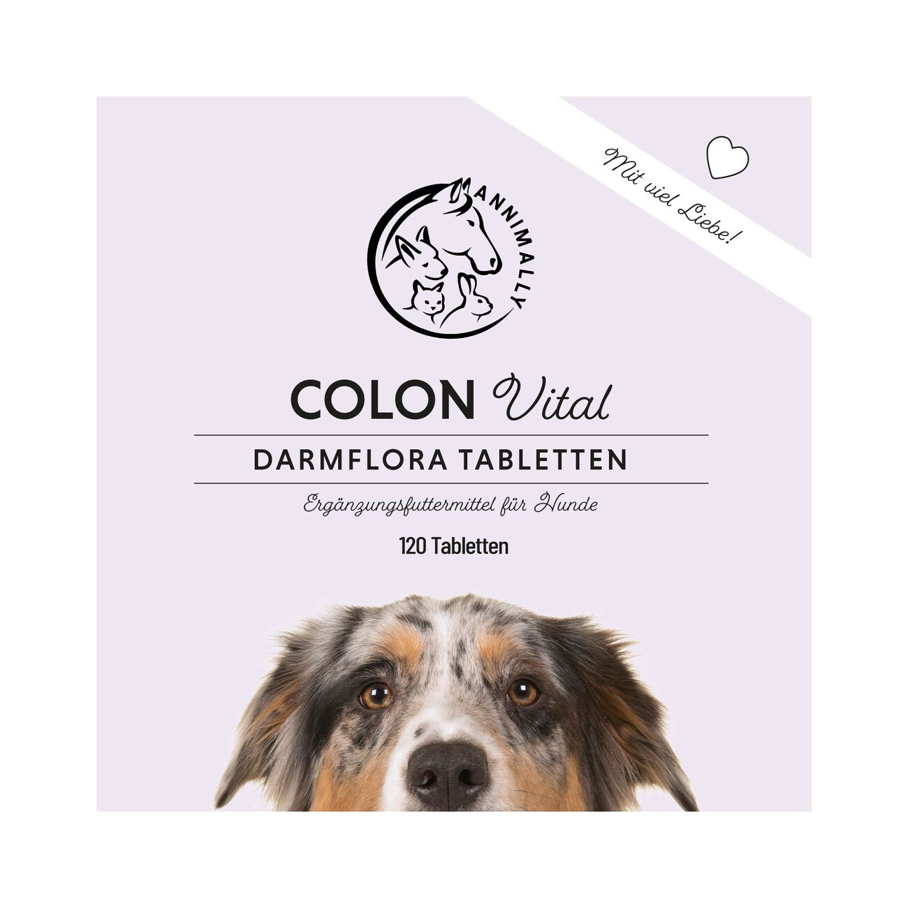 Annimally Colon Vital Tabletten 120 Stück