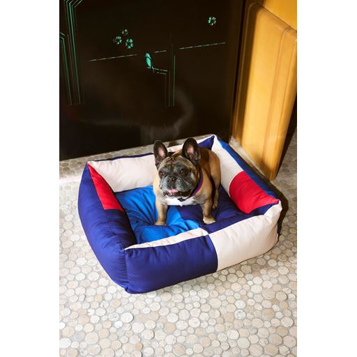 HAY Dogs Medium Hundesenge