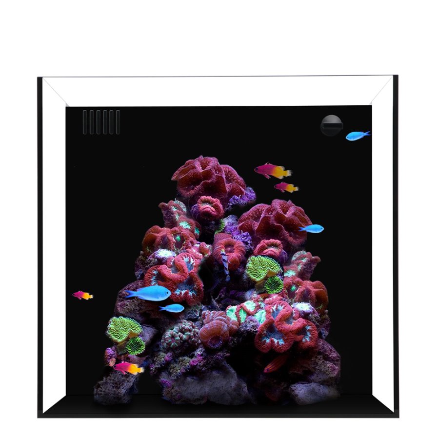 CUBO WATERBOX 10