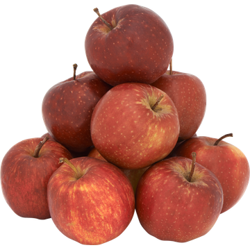 Jumbo Jonagold Appels Voordeelverpakking 1,5 kg