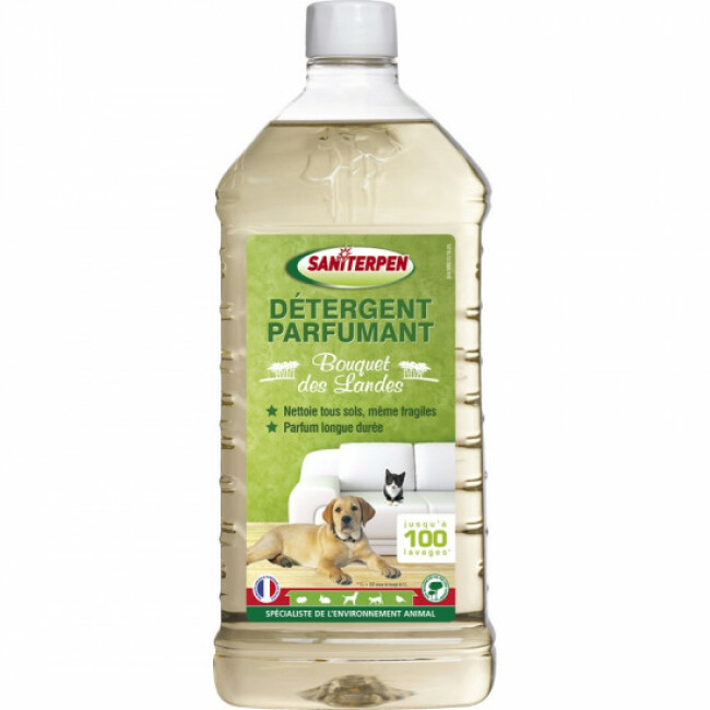 Détergent pour sol et extérieur Saniterpen Bidon 1 litre