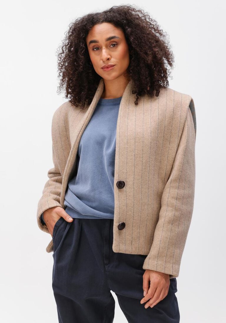 taupe isabel marant  dyogo-ga