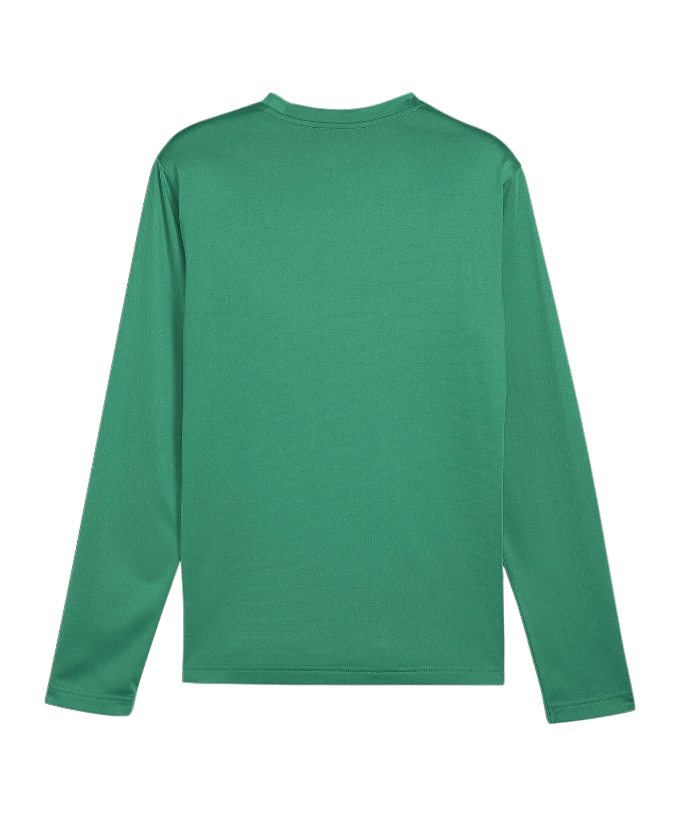 PUMA teamGOAL Training Sweatshirt Grün F05