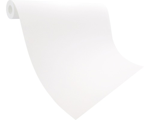 Renovatievlies schildersvlies 9391 ECO patentvlies voorgecoat 150 g/m² 25 mx 0,75 m