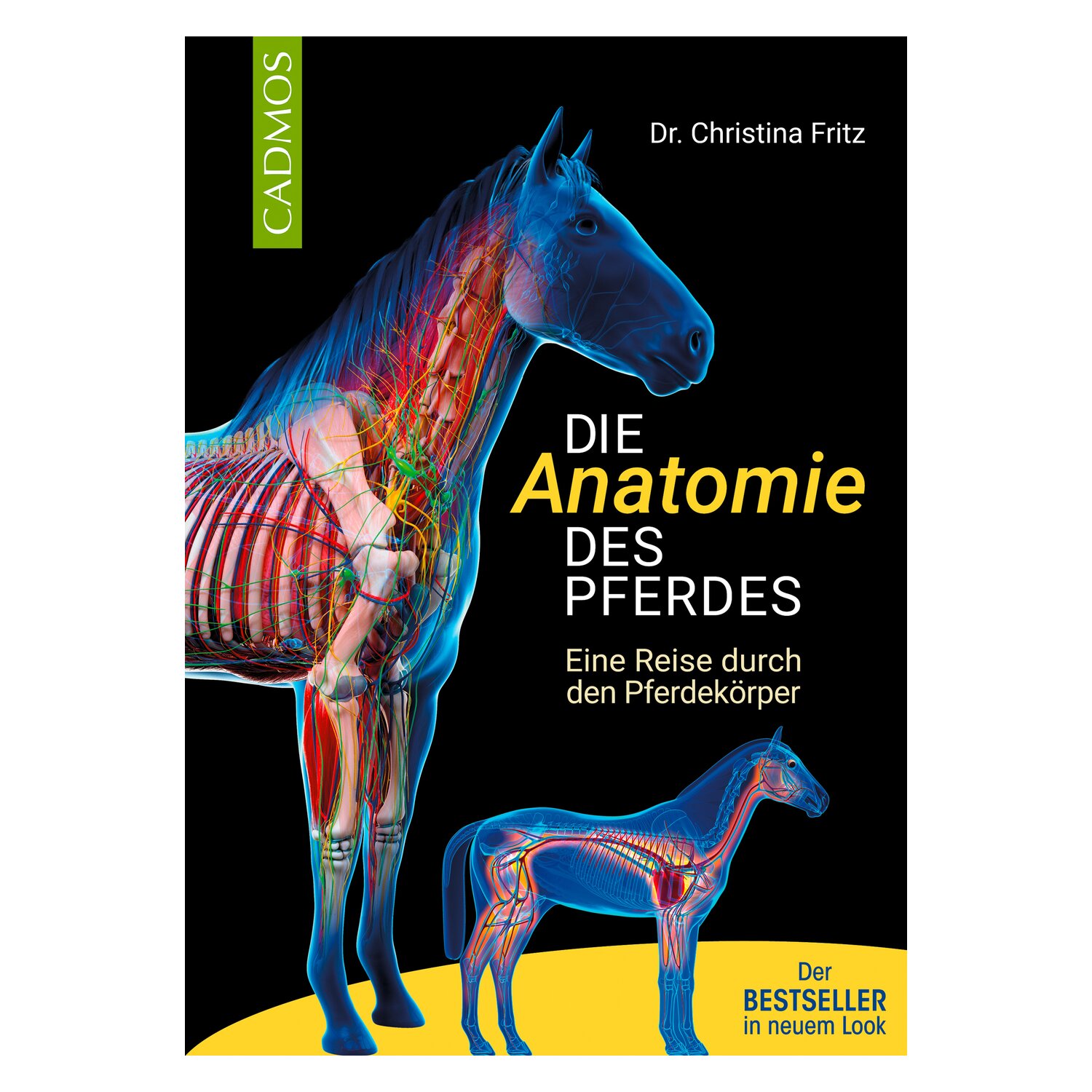 Die Anatomie des Pferdes