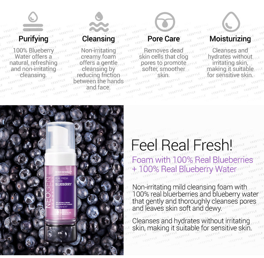 NEOGEN - Dermalogy Real Fresh Foam Bosbes