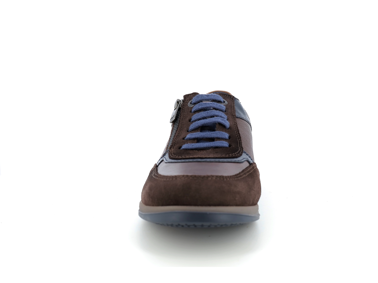 Fluchos-F1288 Cuir Marron Bleu