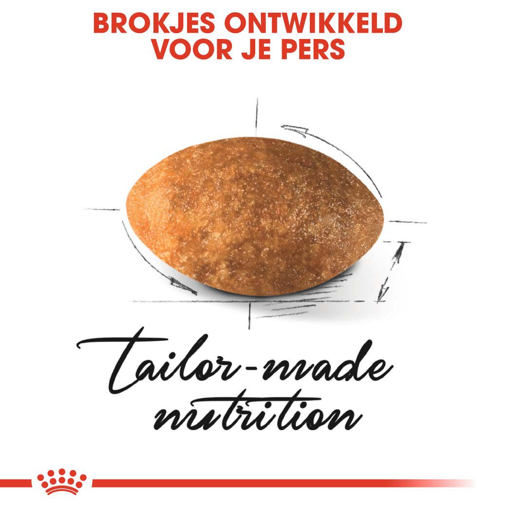 Royal Canin Persian Adult - Kattenvoer - 2 Kilogram - Gevogelte