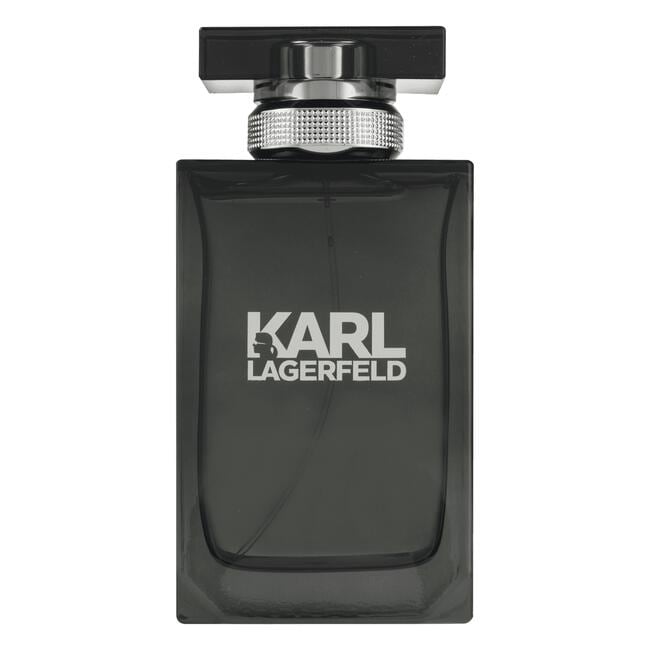 Karl Lagerfeld pour Homme eau de toilette 100 ML