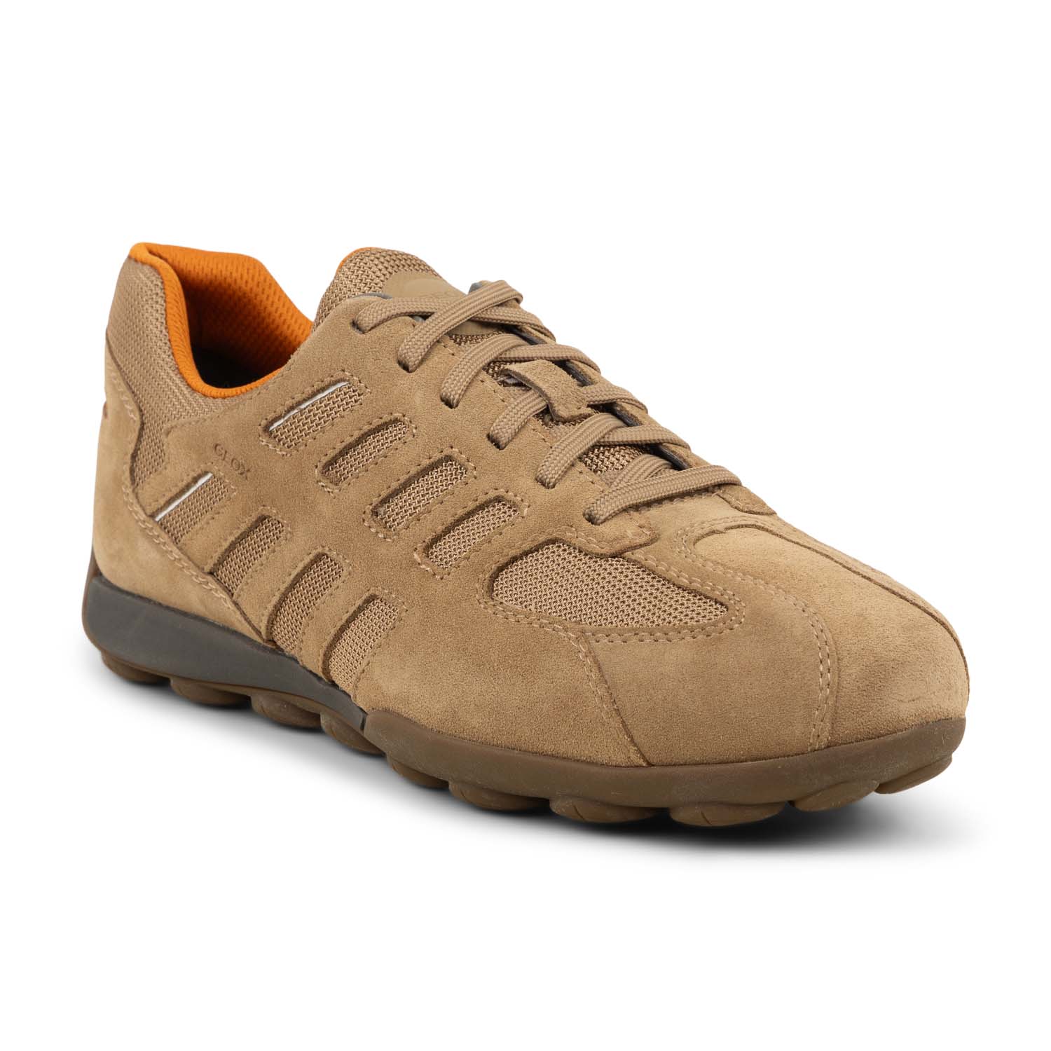 Baskets homme GEOX SNAKE 2.0