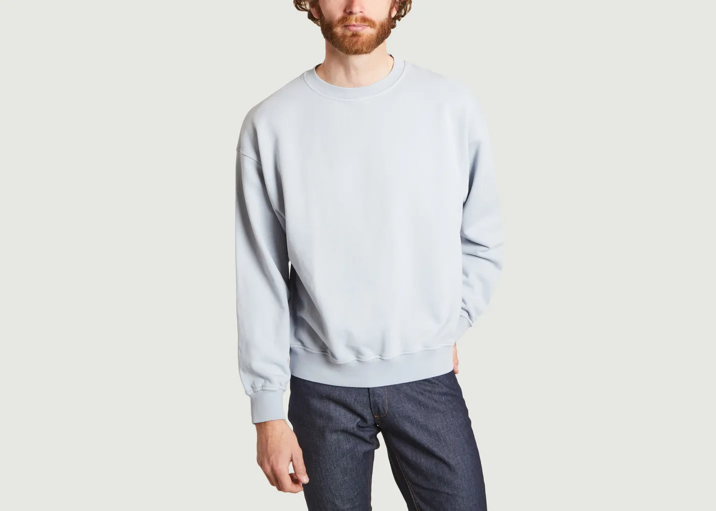 Sweatshirt classique Powder Blue Colorful Standard