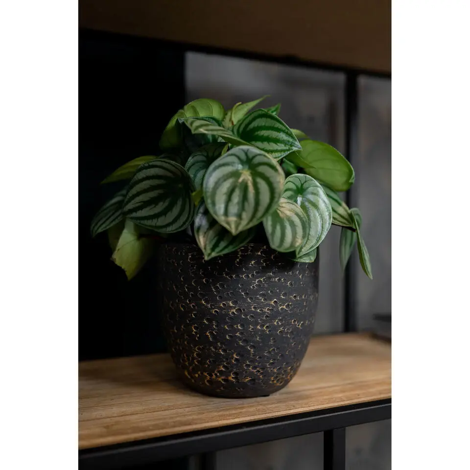 Ter Steege Plantenpot/Bloempot Lava Stone - zwart - D15 x H13 cm