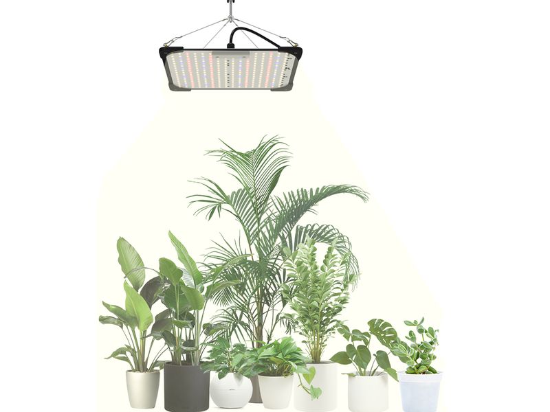 FTM Hängeleuchte Pflanzenlampe Vollspektrum 60 W Growlight für gesunde und kräftige Pflanzen