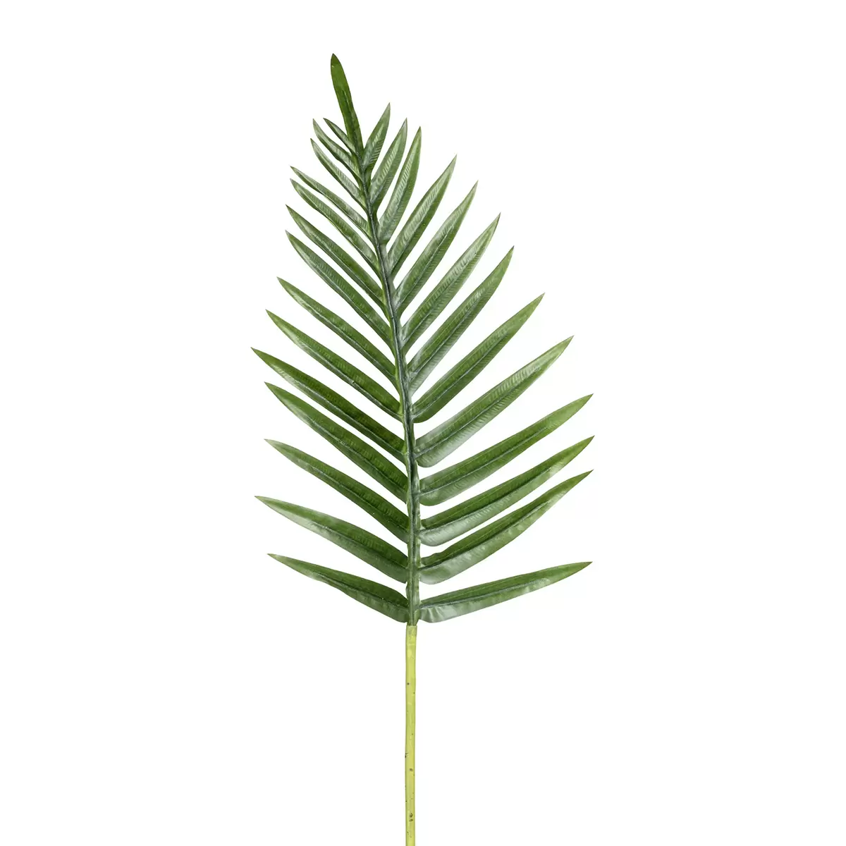 Palmwedel grün