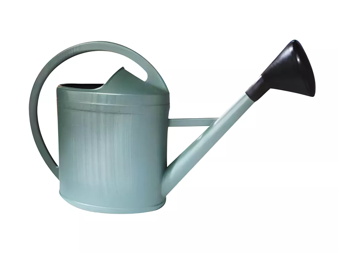 Arrosoir Parisien 3L Vert Métal - Design Classique et Pratique