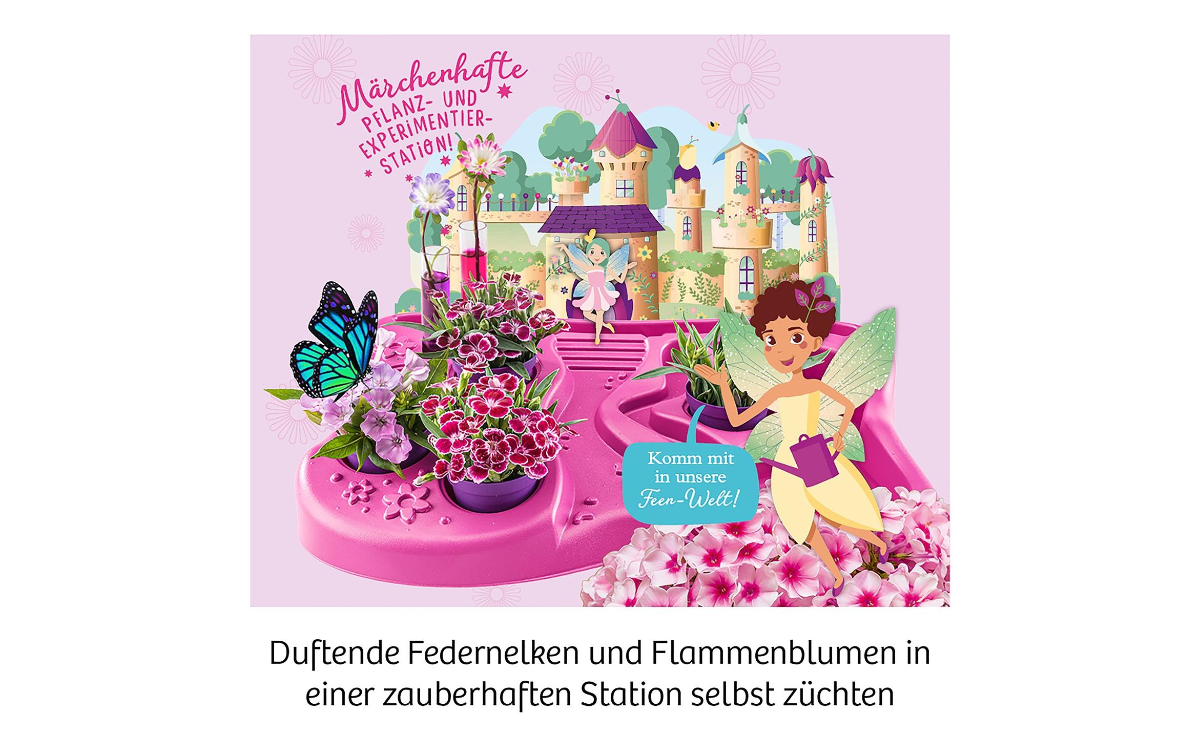 Experimentierkasten Feen-GartenEin märchenhafter Miniatur-Garten