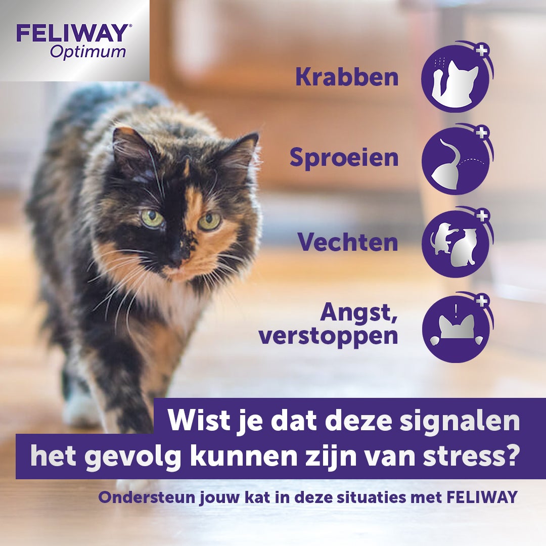 Feliway Optimum Navulling 48 ml