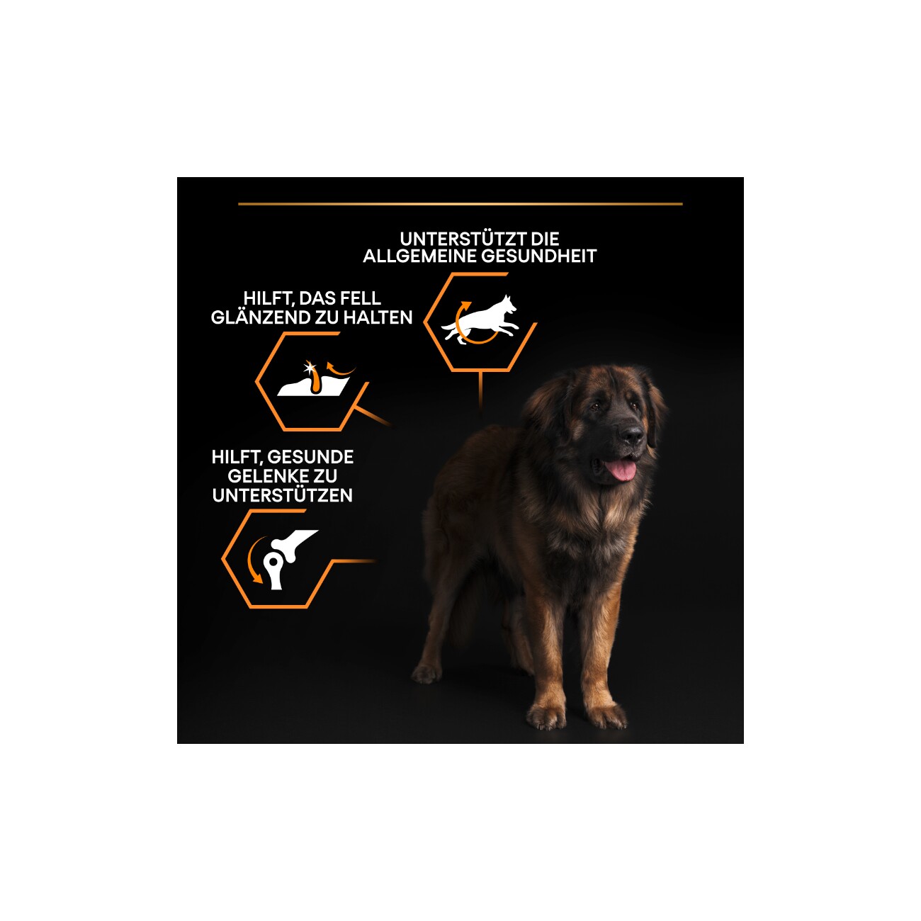 PRO PLAN Adult Large Robust Everyday Nutrition Huhn & Reis 14 kg