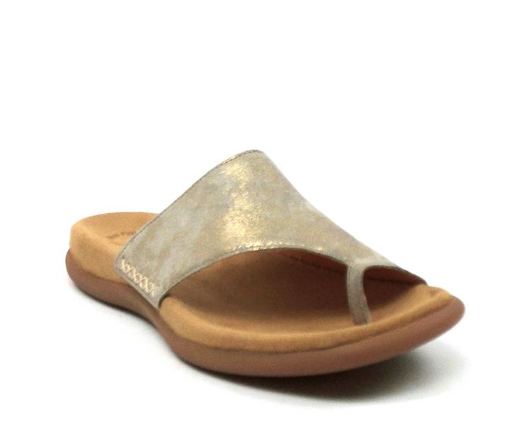 Gabor 63.700 muschel